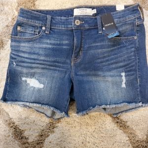 Torrid Shorts